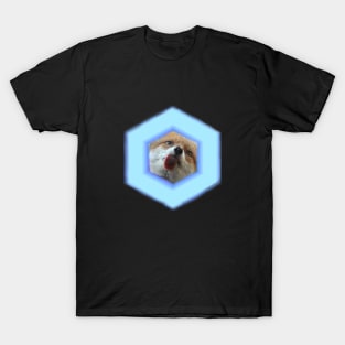 Fox Master Race T-Shirt